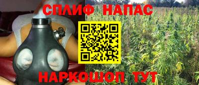хмурый Малгобек