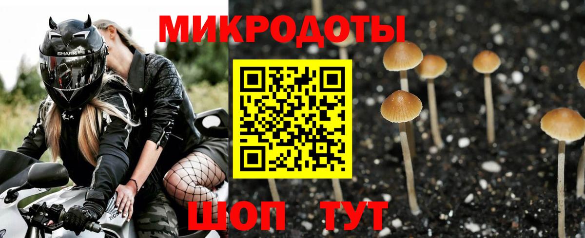 Галлюциногенные грибы Cubensis  Вход с VPN  Феодосия 